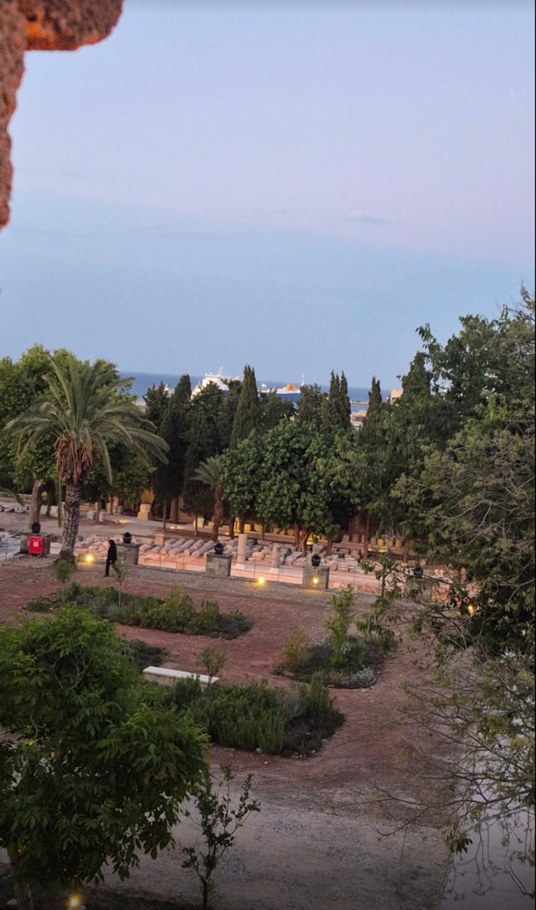 Οι κήποι του Παλατιού του Μεγάλου Μαγίστρου